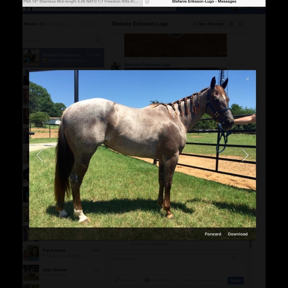 Meet your Posher, Sean